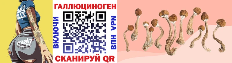 Псилоцибиновые грибы GOLDEN TEACHER  купить наркоту  KRAKEN   Семикаракорск 